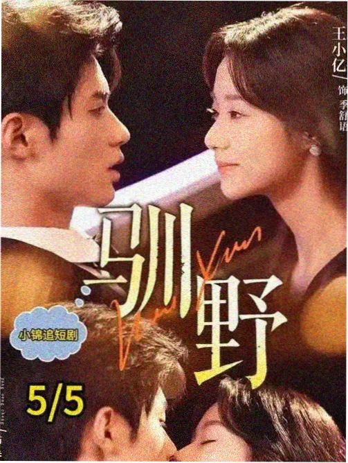 狂飙剧集卡片